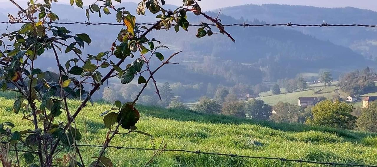 La Mazille , Cossy Vakantiestudio Met Zwembad In Zuid-Bourgogne Anglure-sous-Dun Екстериор снимка